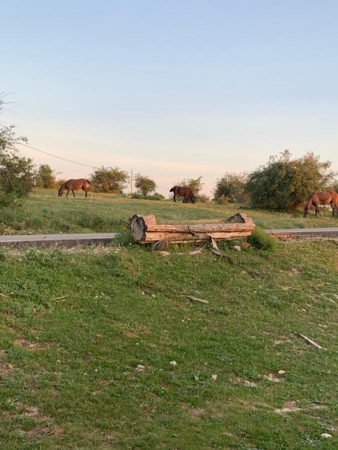Cabanas Buenache Buenache de la Sierra Extérieur photo